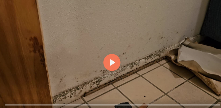 Mold in Your Packout? The Problem Nobody Warns You About